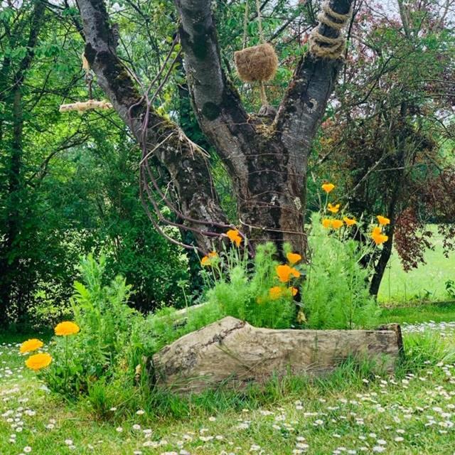 فندق La Maison D' Hote Du Fond Du Riu Allemans-du-Dropt المظهر الخارجي الصورة